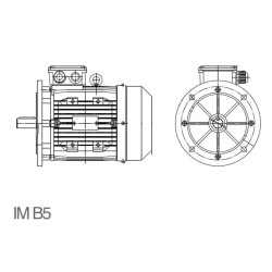 Moteur triphasé 18.5KW 3000tr/min (2 POLES)