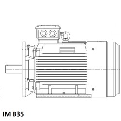 Moteur triphasé 18.5KW 3000tr/min (2 POLES)